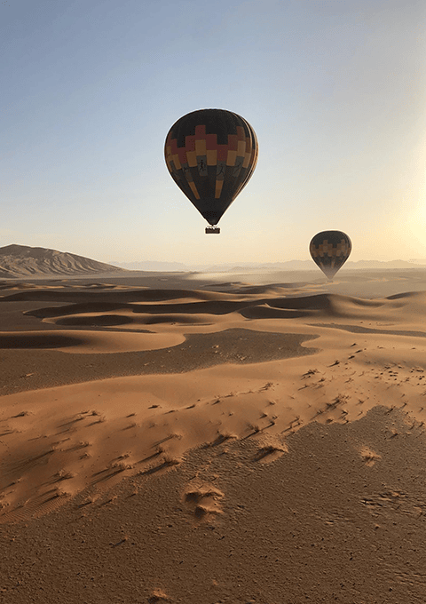 When the Desert Takes Flight