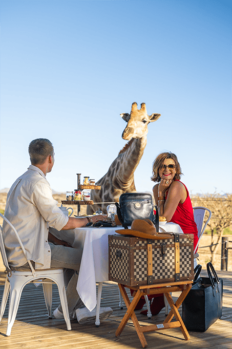 A Kiss from the Giraffe