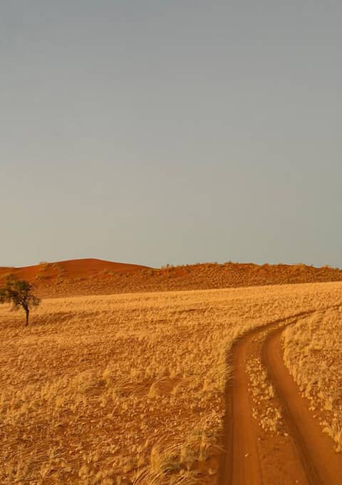 Where the Sky Competes with the Dunes